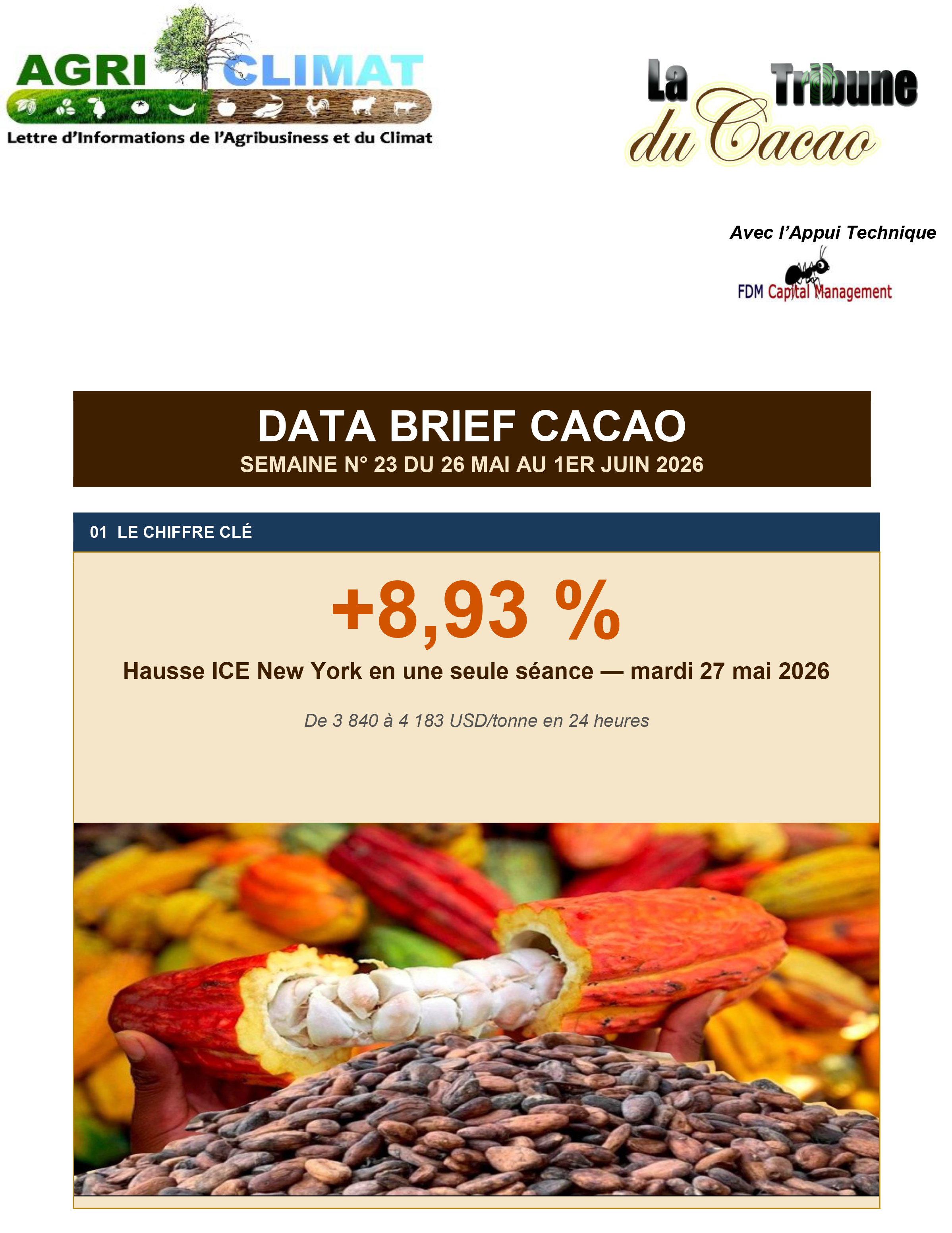 DATA BRIEF CACAO SEMAINE N° 23 DU 26 MAI AU 1ER JUIN 2026